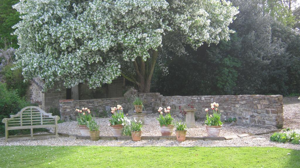 Hollamoor Farm Bed and Breakfast Μπάρνστεϊπλ Εξωτερικό φωτογραφία