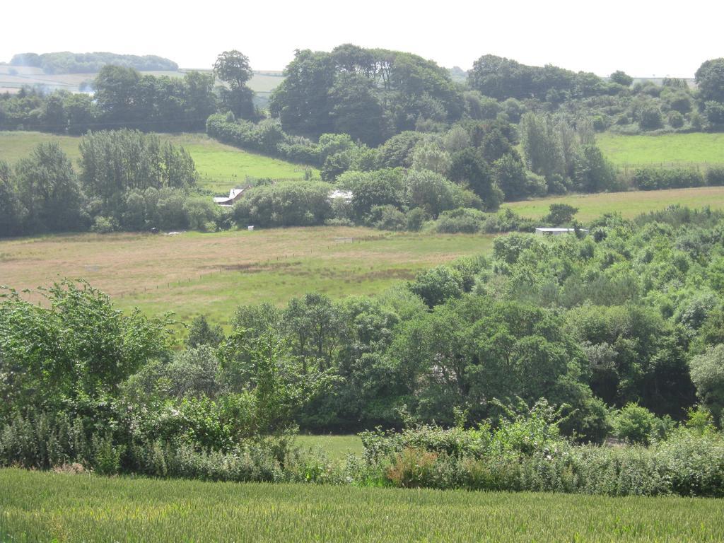 Hollamoor Farm Bed and Breakfast Μπάρνστεϊπλ Εξωτερικό φωτογραφία