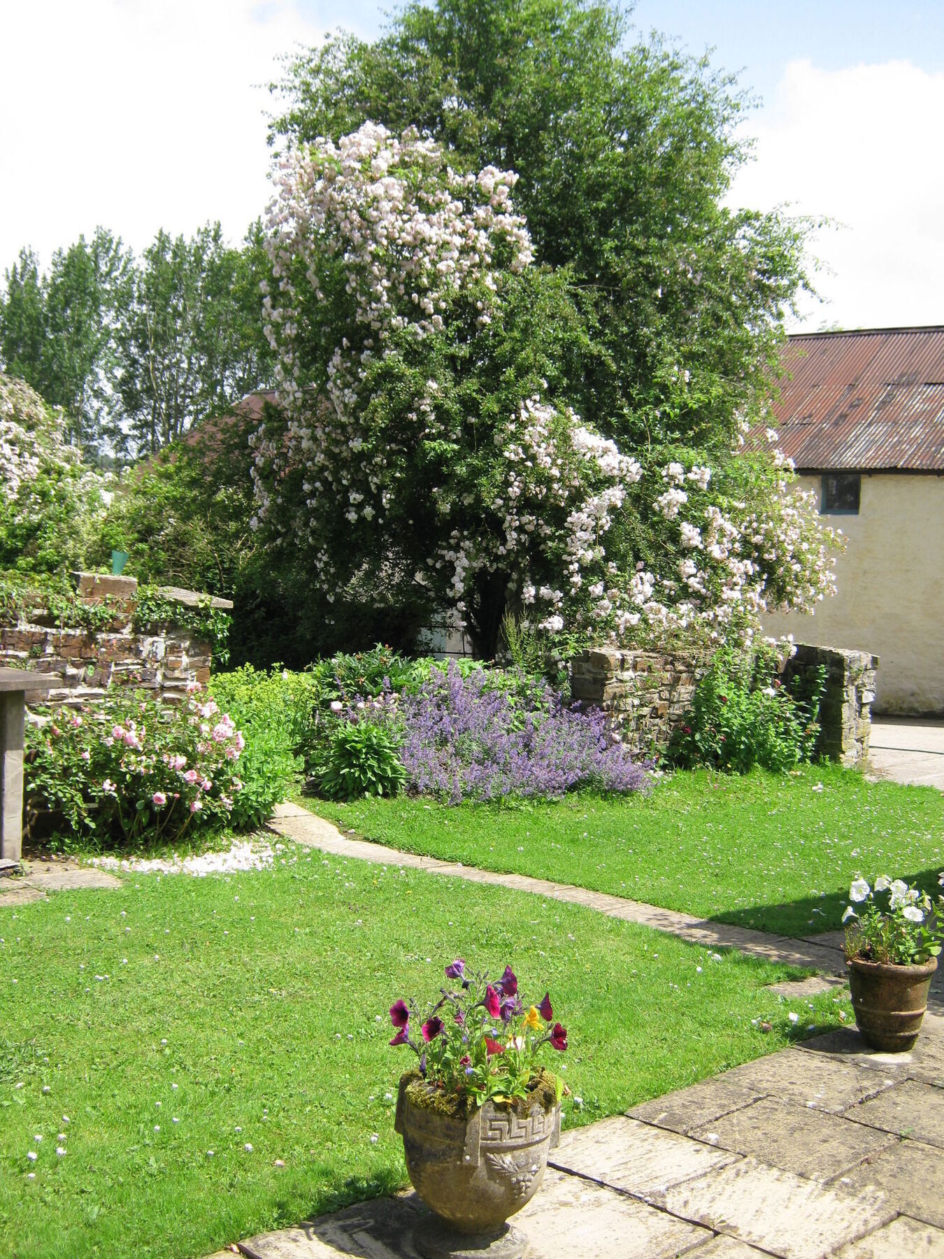 Hollamoor Farm Bed and Breakfast Μπάρνστεϊπλ Εξωτερικό φωτογραφία