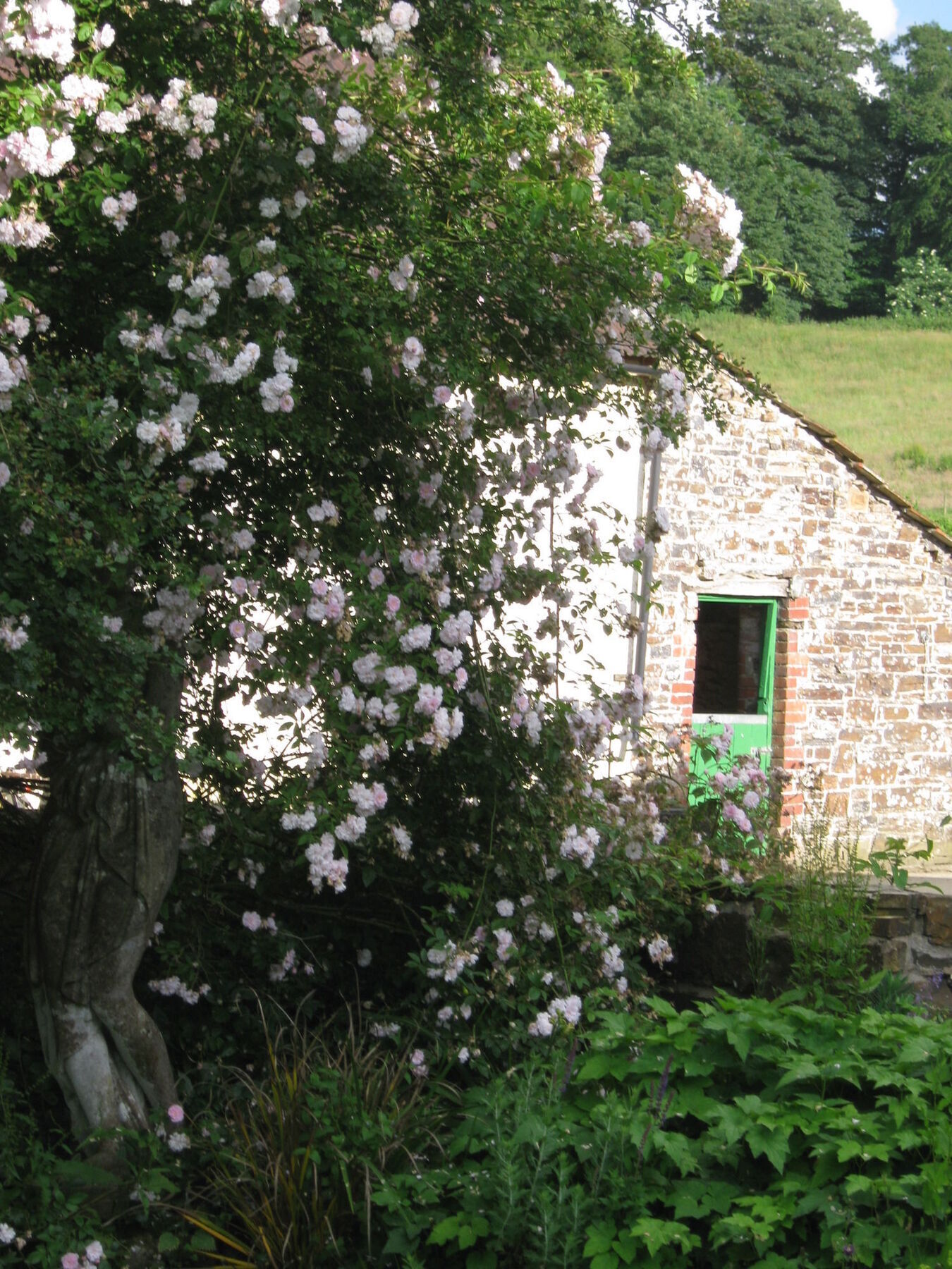 Hollamoor Farm Bed and Breakfast Μπάρνστεϊπλ Εξωτερικό φωτογραφία